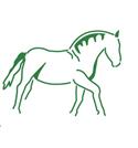 Partner Pferd - mehrtägig